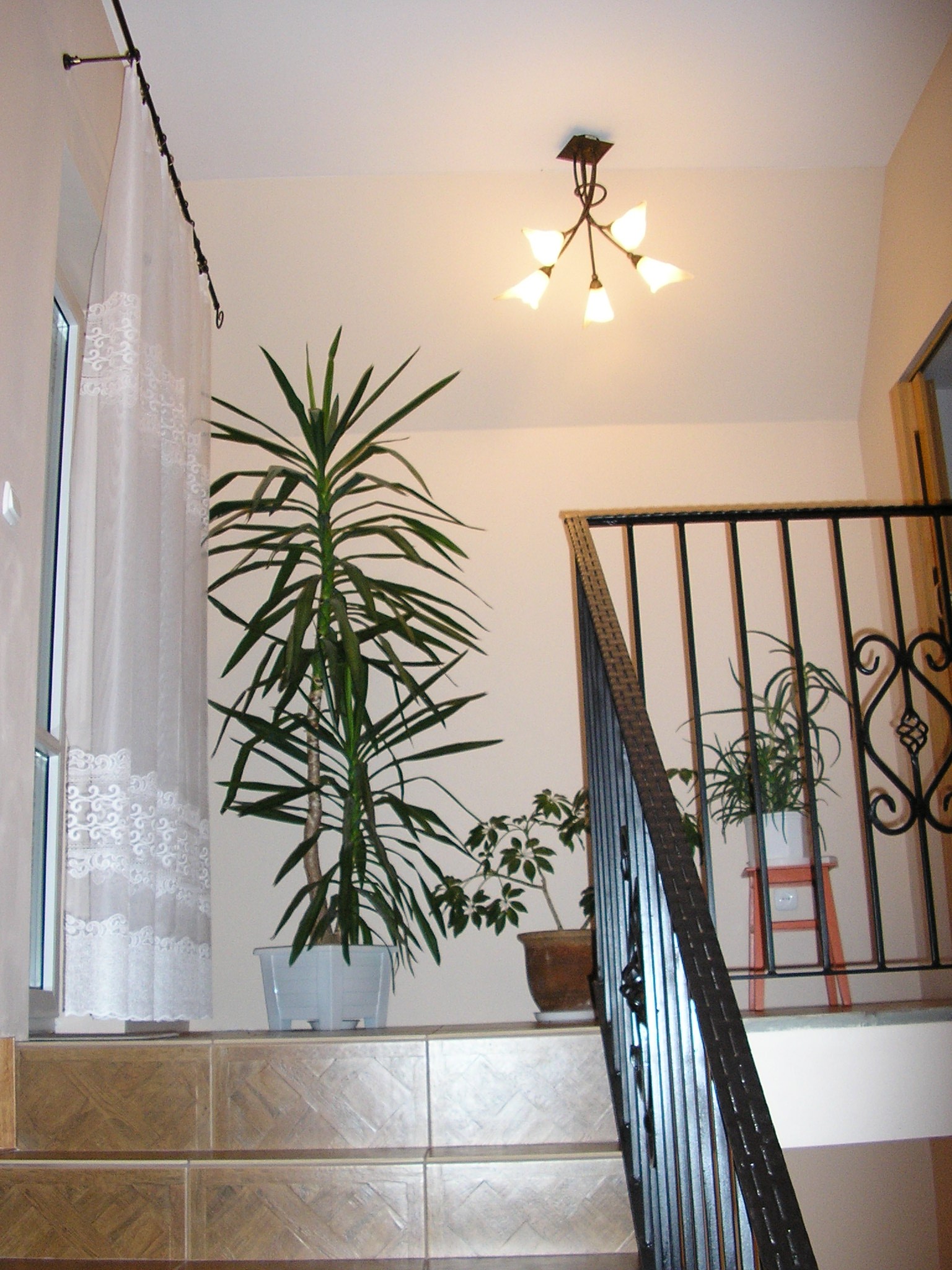 Klatka schodowa z wyłożonymi płytkami schodami, widoczne rośliny doniczkowe, żyrandol i fragment okna z białą, wzorzystą firanką.